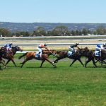 競馬好きの芸能人4人のエピソード